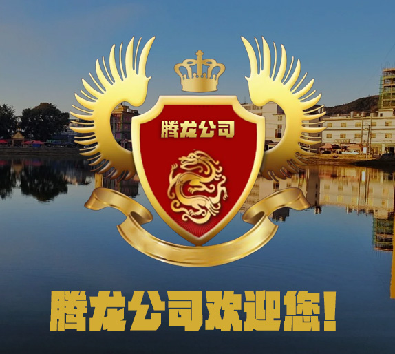腾龙公司游戏官网